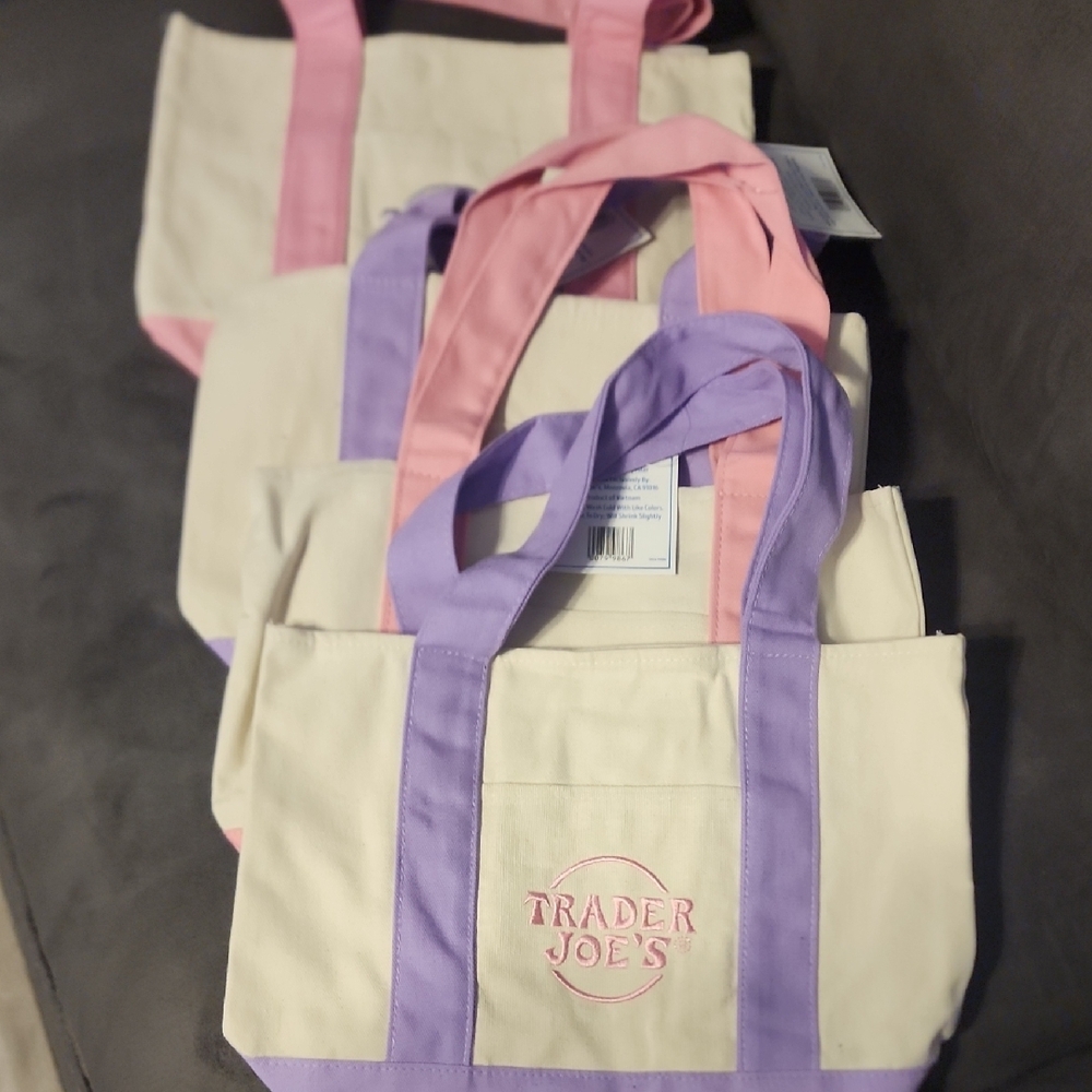 Trader joe Mini Purple and Pink Bag with Textured Design